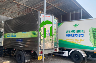 Địa chỉ mua lá sen tươi chất lượng cao ở các thành phố lớn