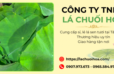 Sỉ và lẻ lá sen tươi quận Tân Bình - Lá Chuối Hoa
