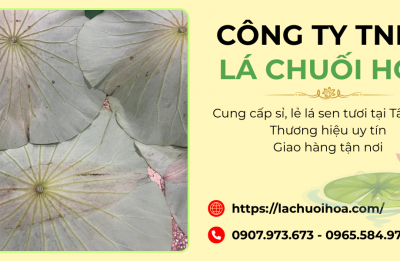 Sỉ và lẻ lá sen tươi quận Tân Phú - Uy tín & chất lượng