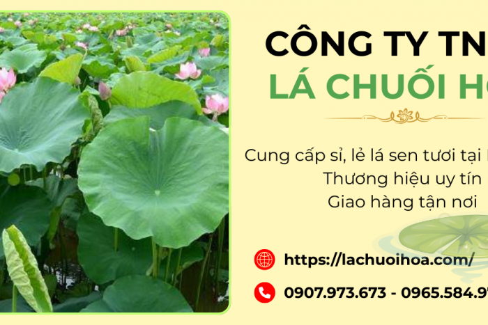 Bán sỉ và lẻ lá sen tươi quận Bình Tân - Lá Chuối Hoa