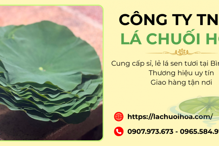 Bán sỉ và lẻ lá sen tươi tại Bình Chánh – Công ty Lá Chuối Hoa