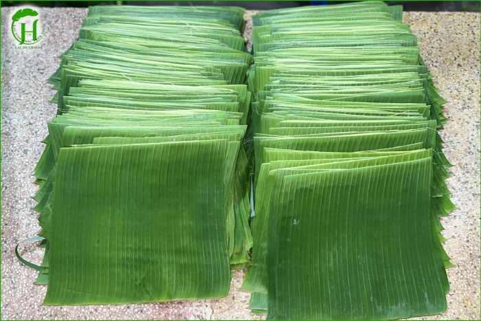 Cách Chọn Lá Chuối Tươi Ngon Và An Toàn Để Gói Bánh