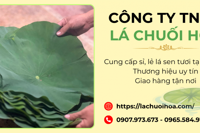 Cung Cấp Lá Sen Tươi Hóc Môn – Sỉ và Lẻ Chất Lượng Cao