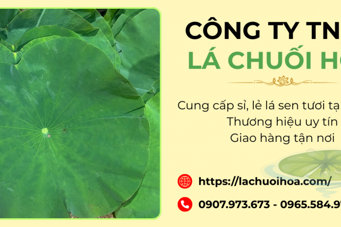 Cung cấp lá sen tươi quận 8 - Lá Chuối Hoa