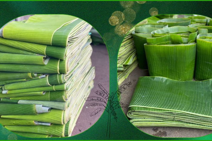 Địa chỉ gia công lá chuối tươi uy tín tại Phú Nhuận