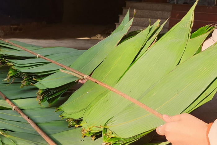 Tìm hiểu về giá của lá tre khô và cách lựa chọn phù hợp 