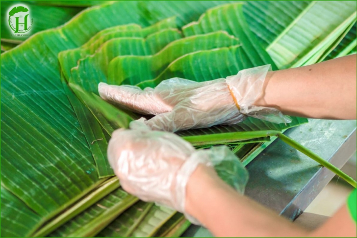 Phân Biệt Lá Chuối Tươi Và Lá Chuối Khô Trong Sử Dụng Ẩm Thực