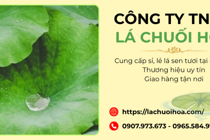 Sỉ và lẻ lá sen tươi quận 11 - Chất lượng và dịch vụ tận tâm