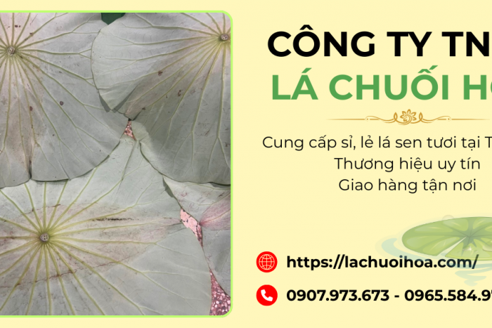 Sỉ và lẻ lá sen tươi quận Tân Phú - Uy tín & chất lượng