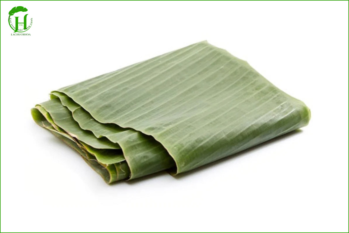 Hướng dẫn xử lý lá chuối tươi để giữ màu xanh đẹp mắt