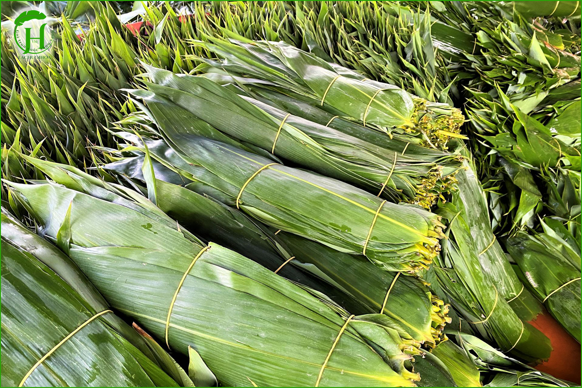 Cách bảo quản lá tre trong kho/lưu trữ tại cơ sở sản xuất