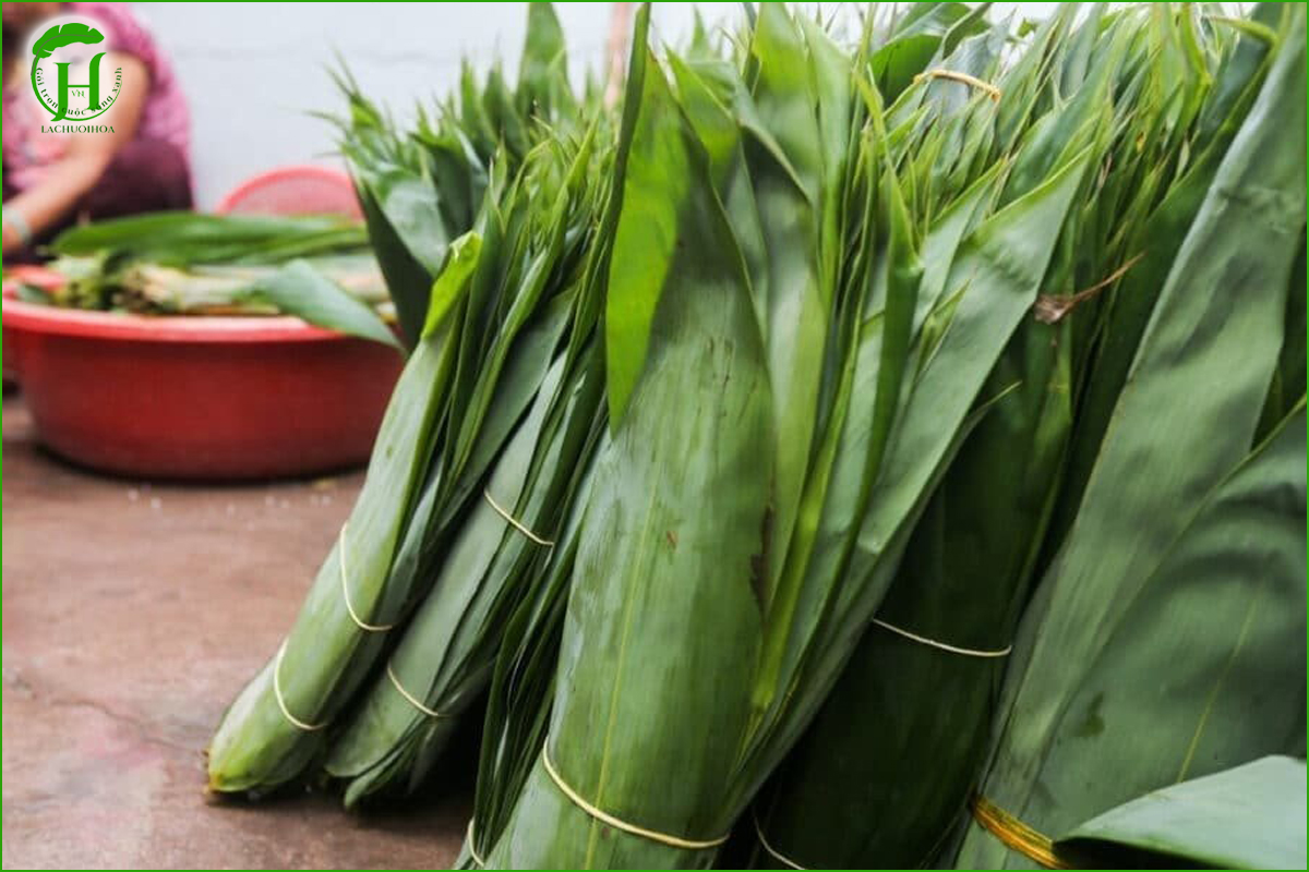 Cách bảo quản lá tre tươi khi vận chuyển xa