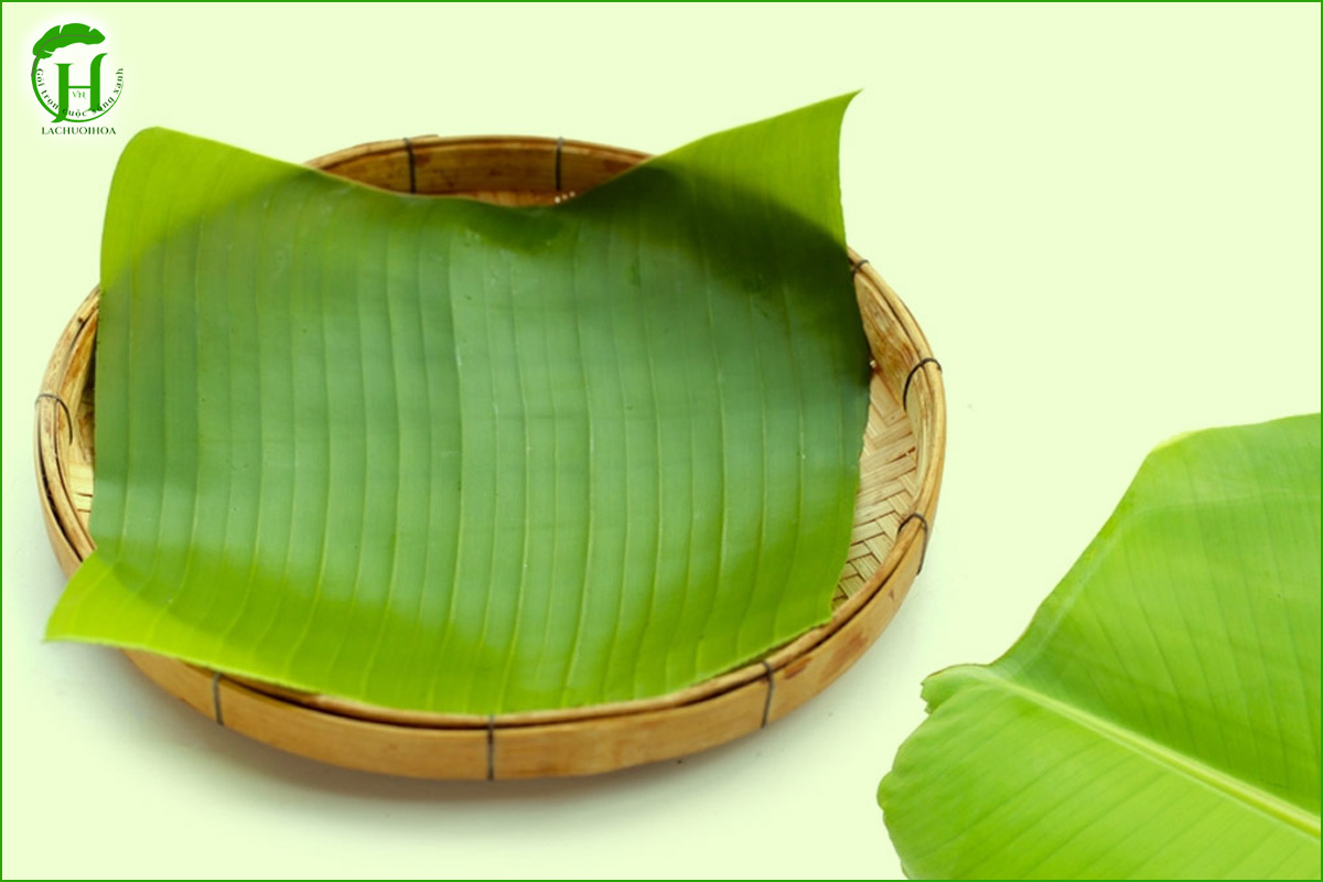 Mua lá chuối tươi chất lượng tại Lá Chuối Hoa