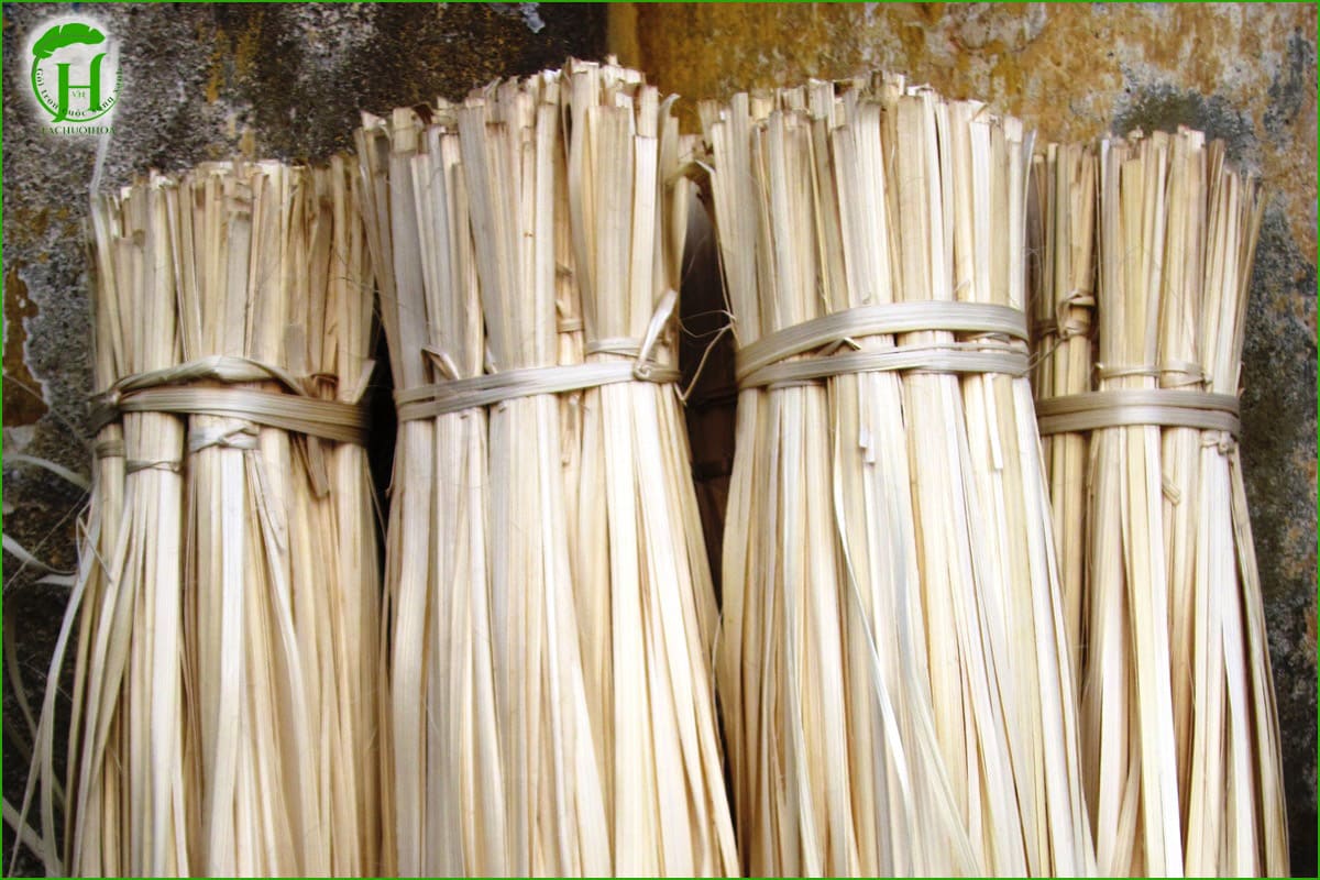 Thực trạng ô nhiễm từ dây nhựa và nhu cầu thay thế