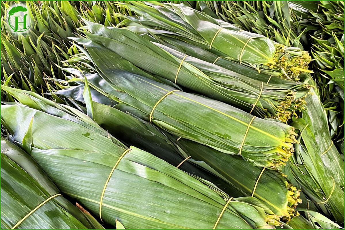 Mua nguyên liệu tự nhiên chất lượng cao tại Lá Chuối Hoa