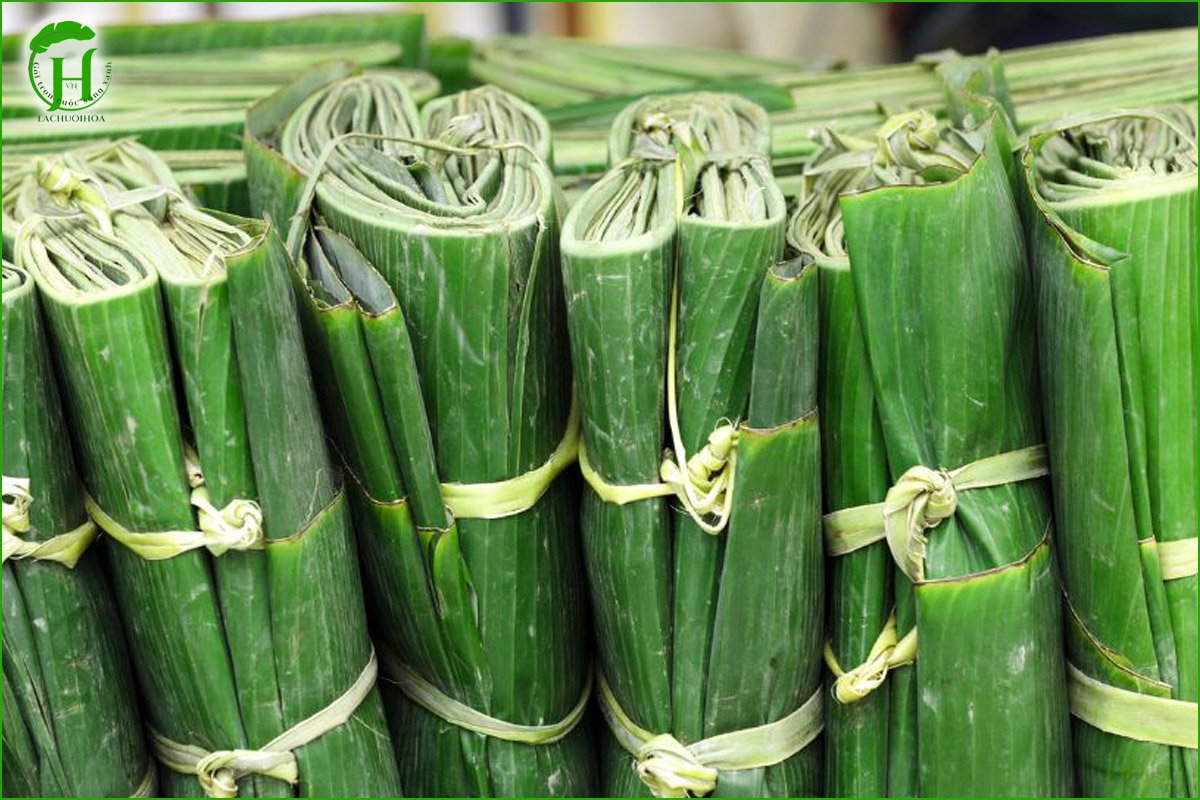 Lá Chuối Hoa - Đơn vị cung cấp lá chuối tươi chất lượng trên toàn quốc