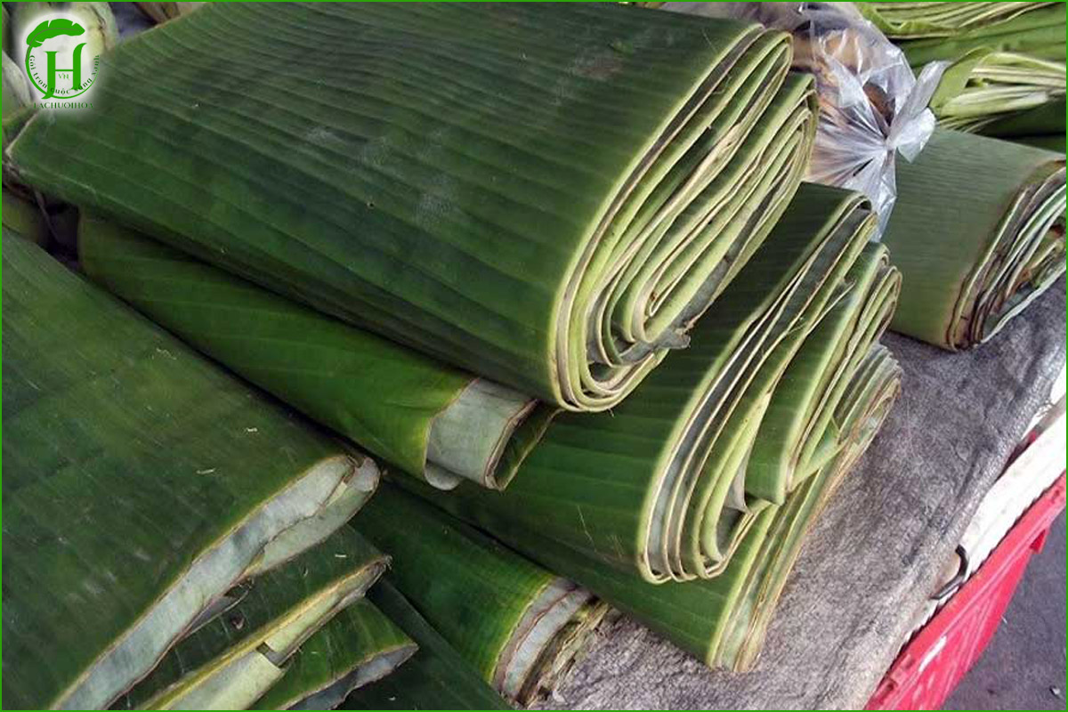Một số mẹo giúp lá chuối giữ tươi lâu hơn khi đến nơi
