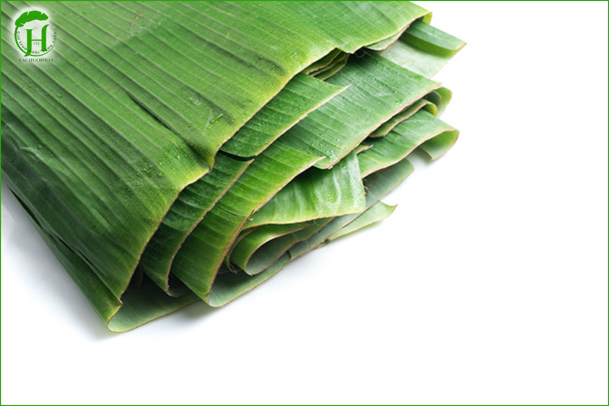 Những lưu ý quan trọng khi vận chuyển lá chuối tươi