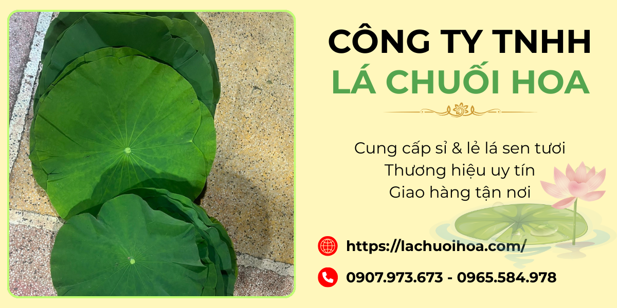 Các dịch vụ cung cấp của Lá Chuối Hoa