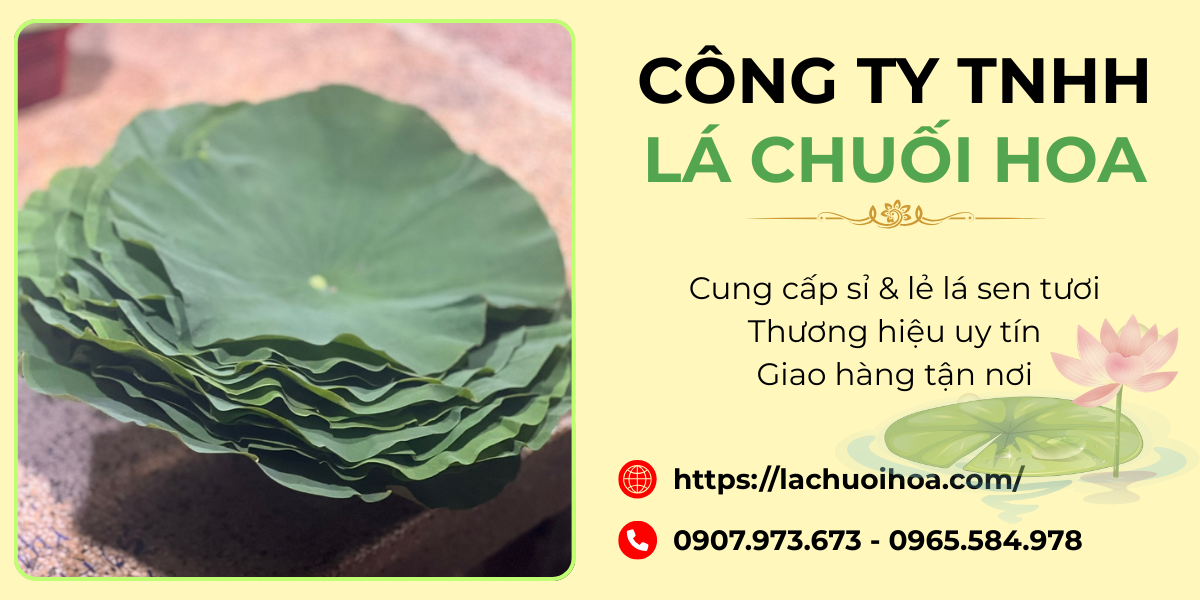 Chính sách giá và ưu đãi dành cho khách hàng