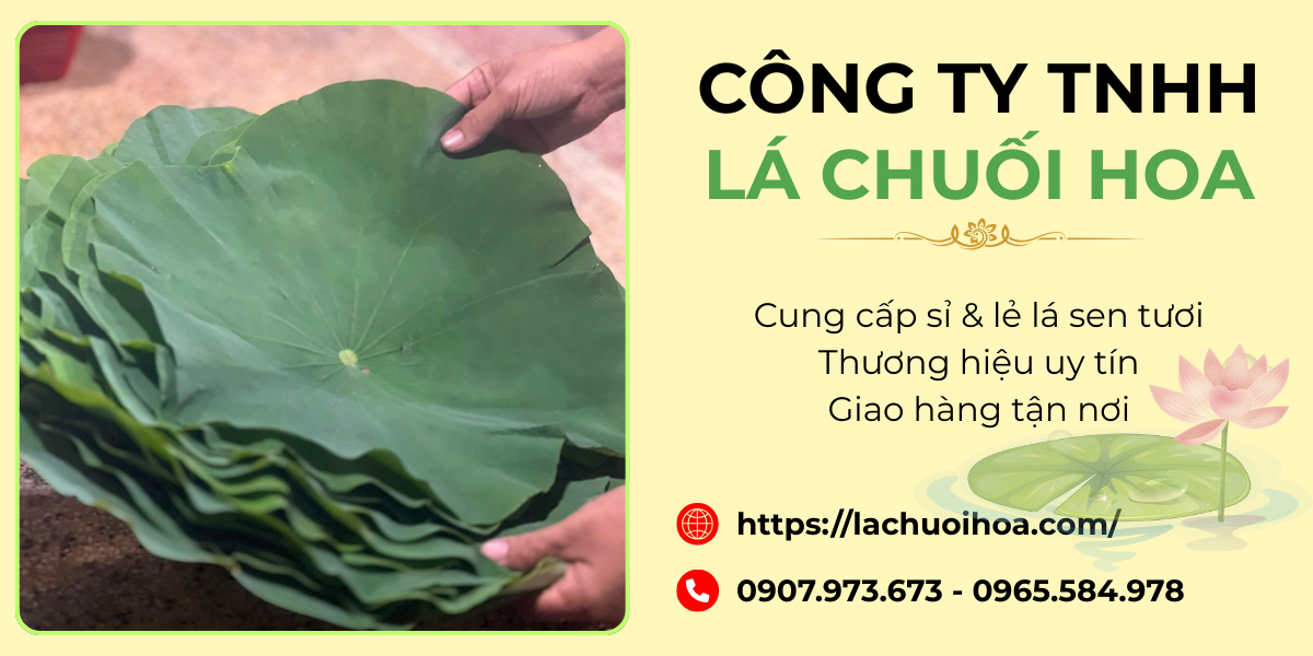 Hướng dẫn bảo quản lá sen tươi đúng cách
