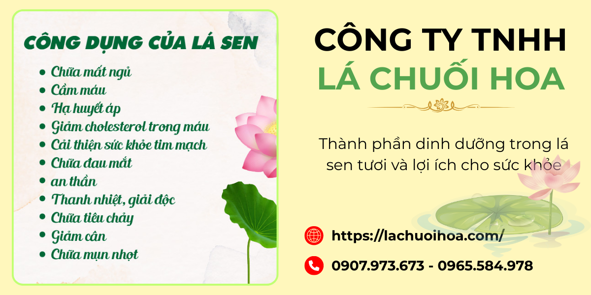 Giới thiệu chung về lá sen tươi