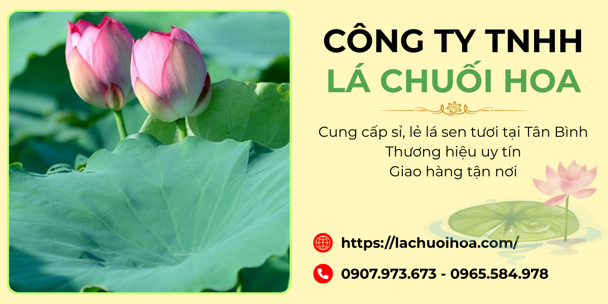 Các loại hình cung cấp lá sen tươi tại quận Tân Bình