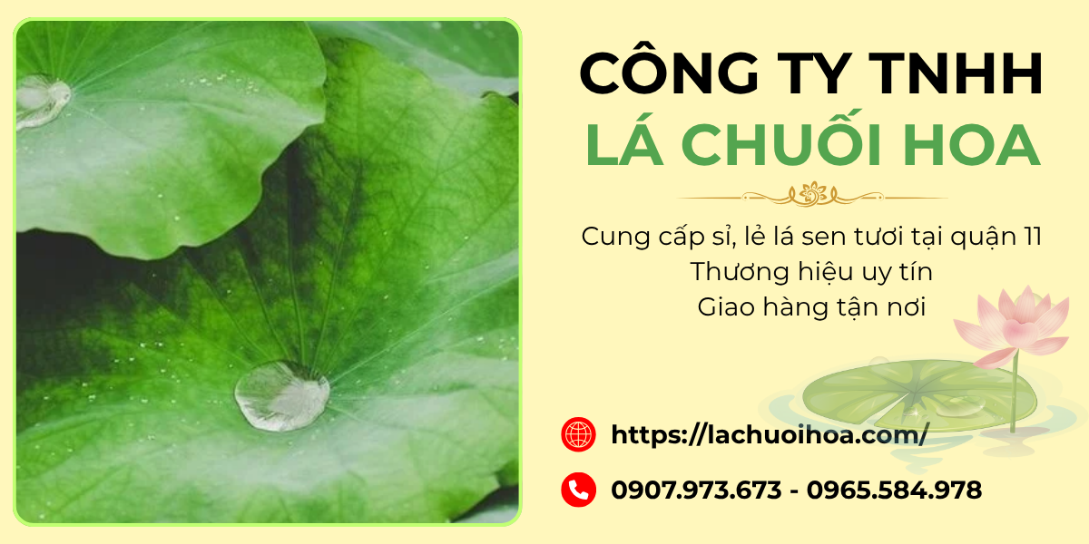 Các loại lá sen tươi cung cấp tại quận 11