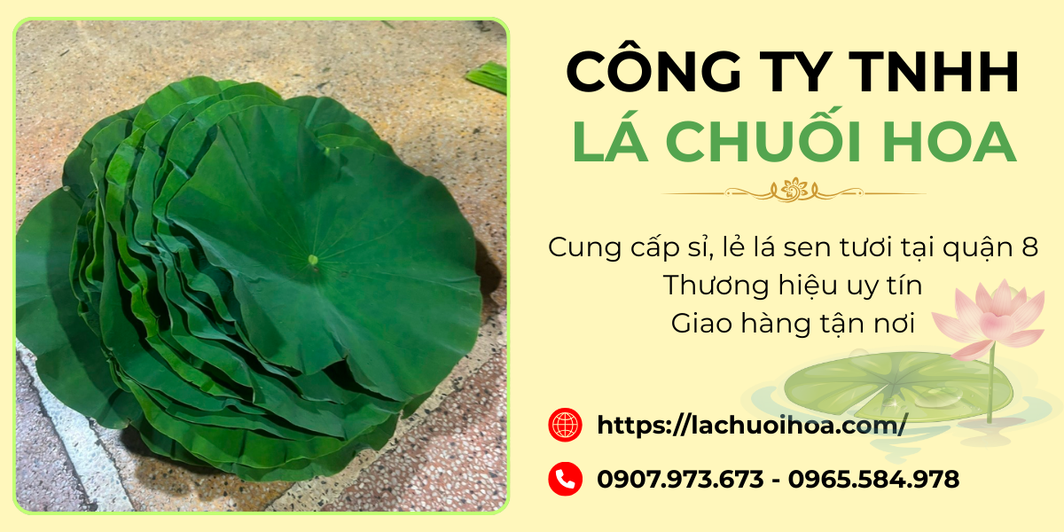 Các loại lá sen tươi phổ biến