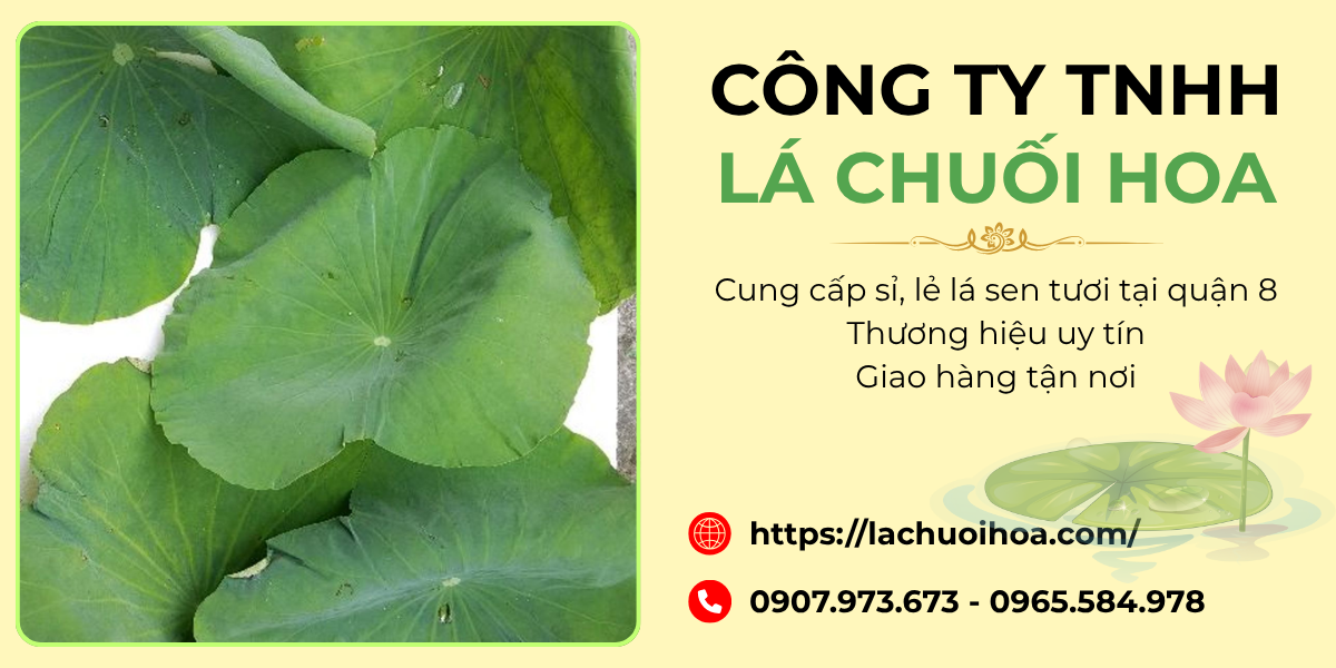 Các lợi ích khi mua lá sen tươi tại địa phương