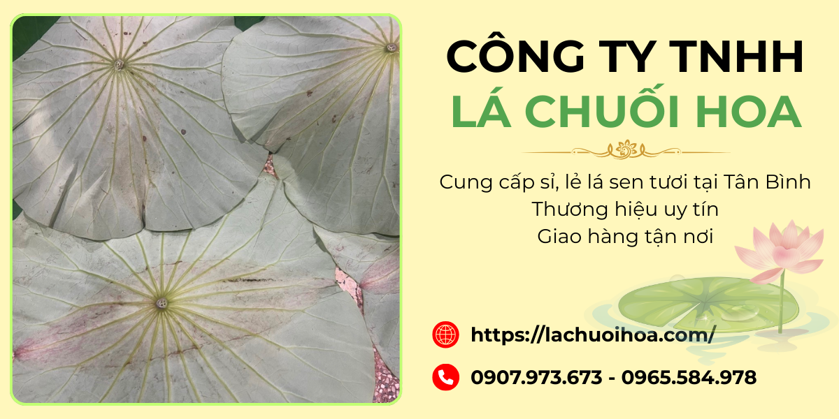 Các lưu ý khi chọn mua lá sen tươi