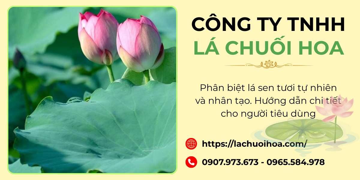 Các phương pháp phân biệt lá sen tự nhiên và nhân tạo qua hình dạng và màu sắc