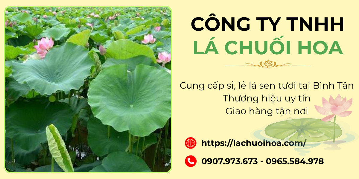 Các sản phẩm lá sen tươi tại Lá Chuối Hoa