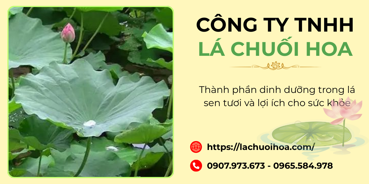 Các thành phần dinh dưỡng chính trong lá sen tươi