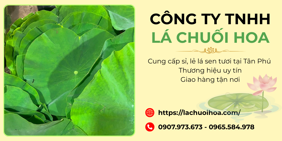Các yếu tố ảnh hưởng đến chất lượng lá sen tươi