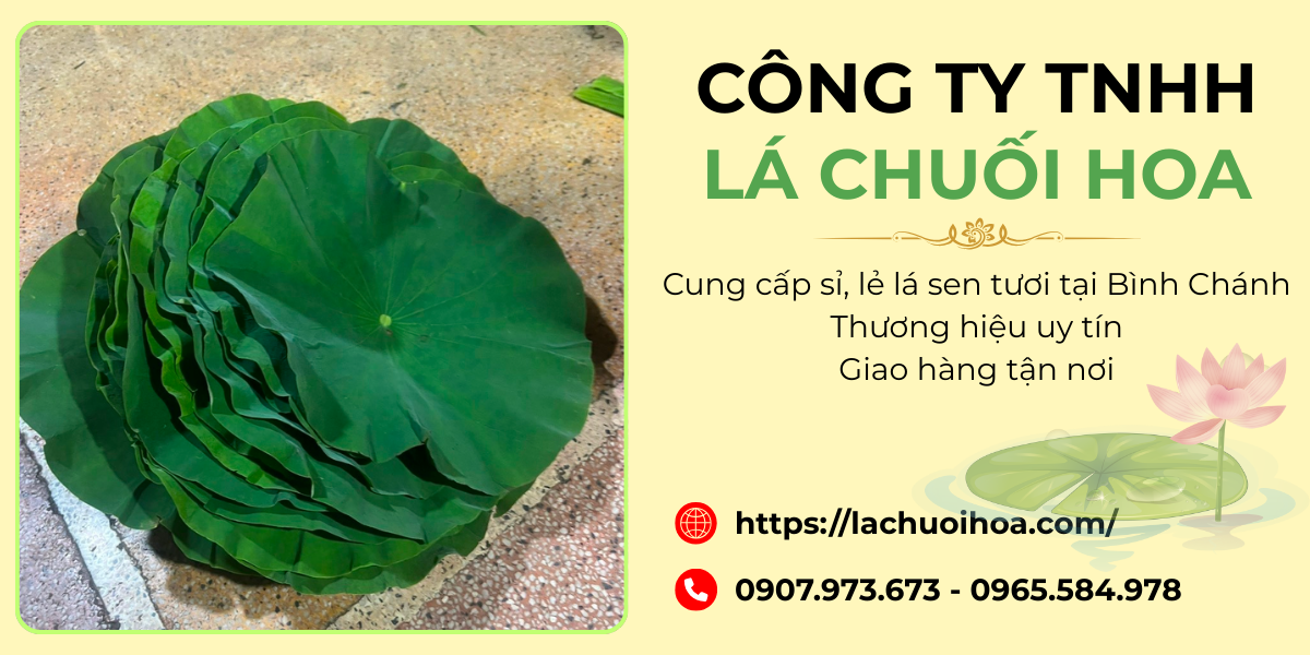 Cam kết của công ty về chất lượng và dịch vụ