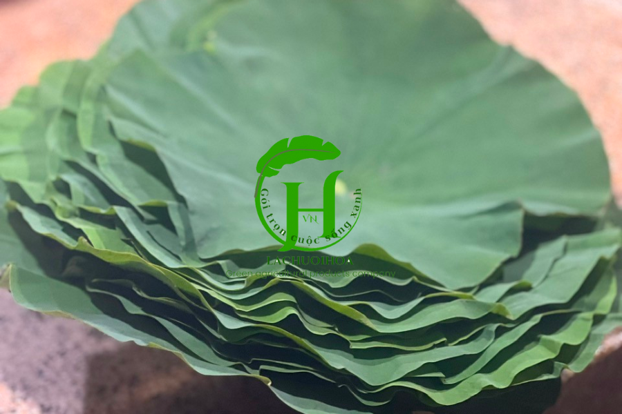 Câu hỏi thường gặp