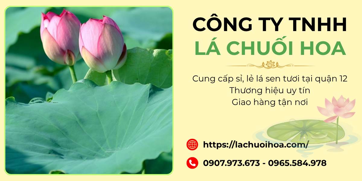 CÔNG TY TNHH LÁ CHUỐI HOA – Đối Tác Cung Cấp Lá Sen Tươi Chuyên Nghiệp