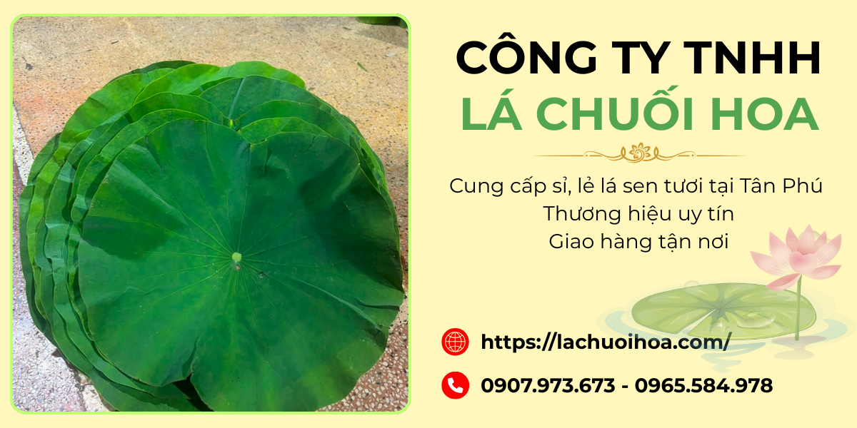 Đa dạng sản phẩm lá sen tươi tại công ty