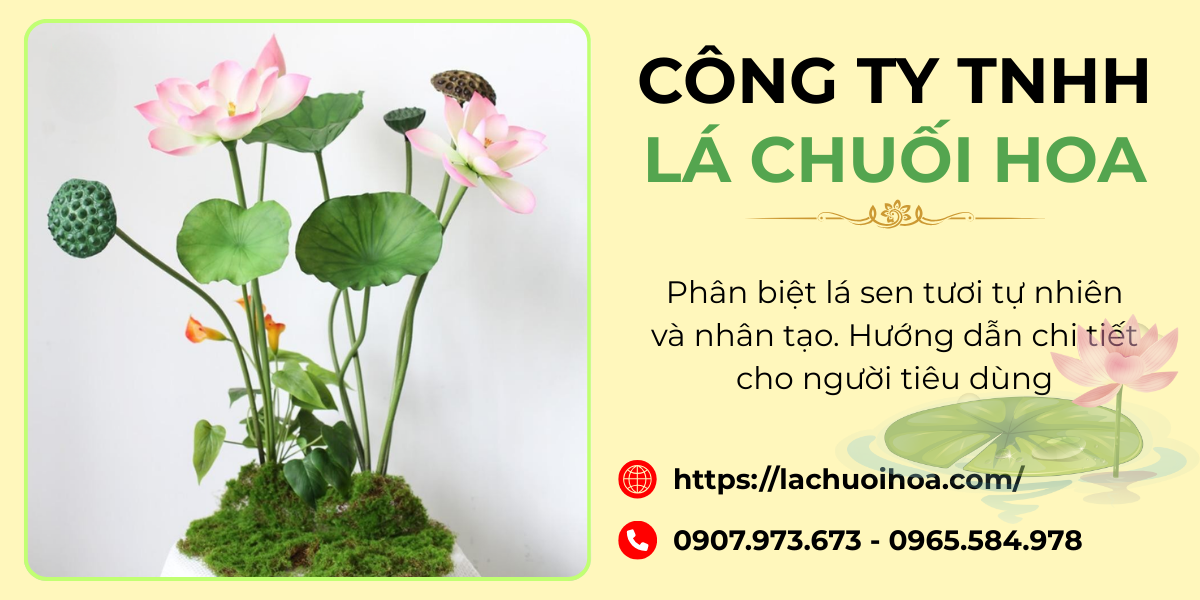 Đặc điểm nhận biết lá sen nhân tạo