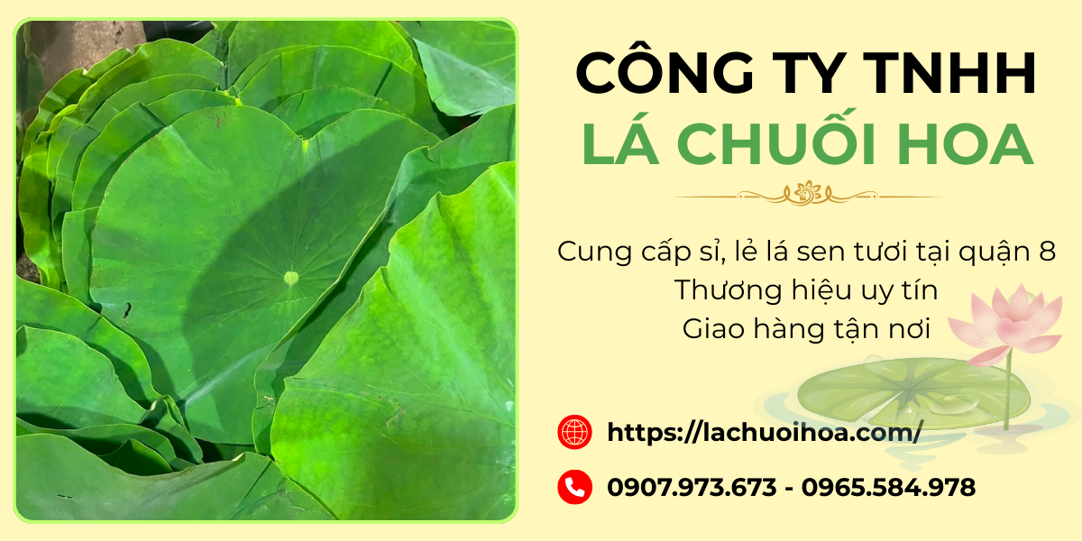 Đặc điểm nổi bật của các sản phẩm