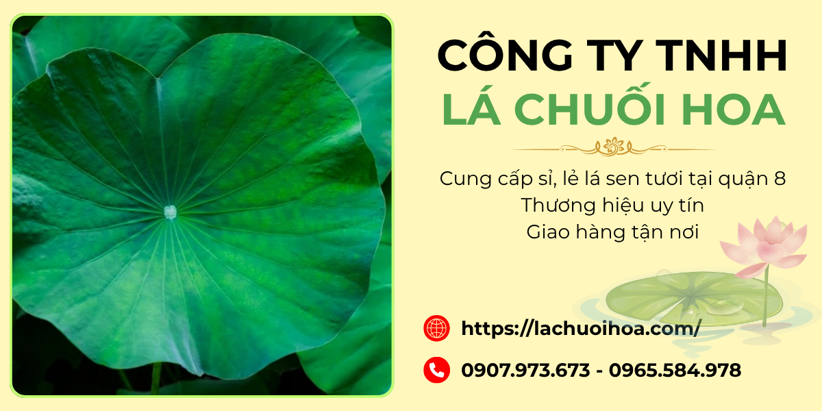 Dịch vụ bán sỉ và lẻ lá sen tươi