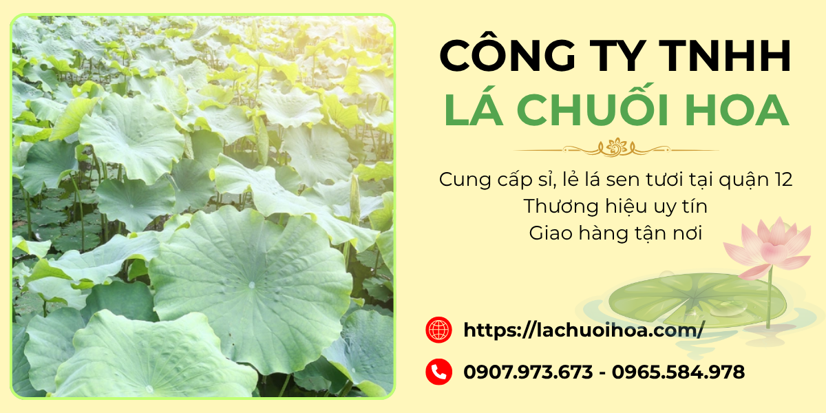 Dịch Vụ Cung Cấp Lẻ Lá Sen Tươi Tại Quận 12 Cho Người Tiêu Dùng