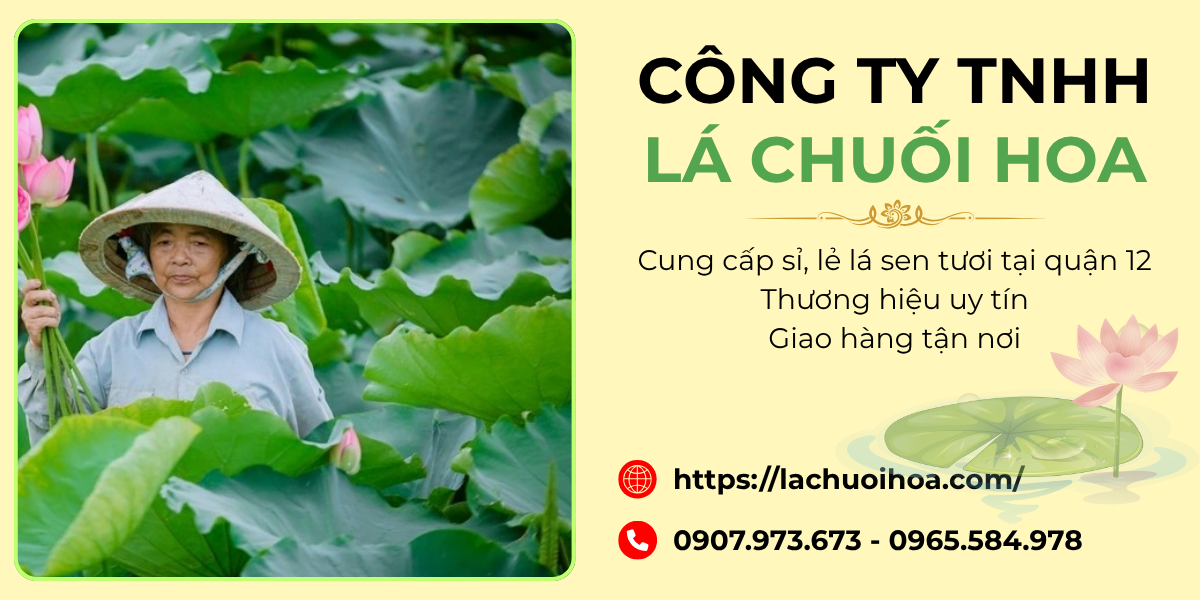 Dịch Vụ Cung Cấp Sỉ Lá Sen Tươi Tại Quận 12 Và Các Vùng Lân Cận