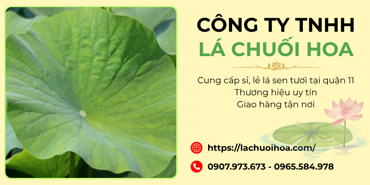 Dịch vụ sỉ và lẻ lá sen tươi tại quận 11