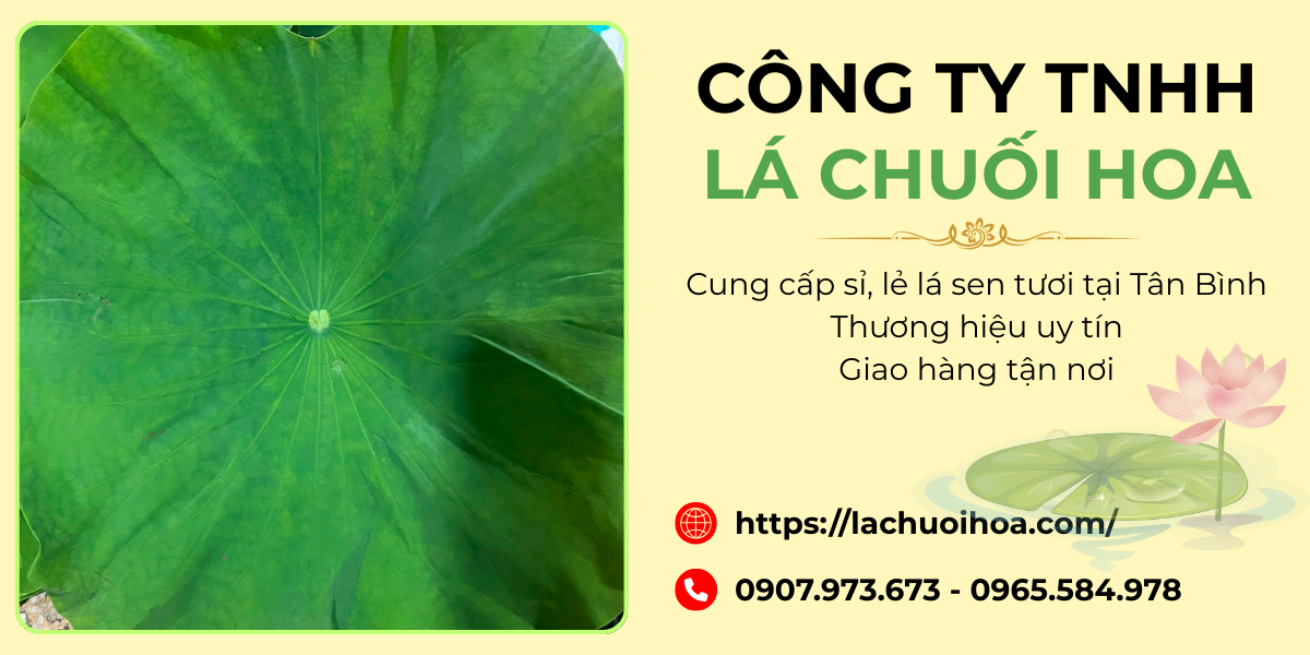 Giới thiệu về Công ty TNHH Lá Chuối Hoa