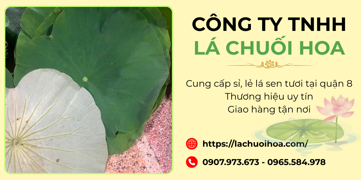 Giới thiệu về lá sen tươi Hóc Môn