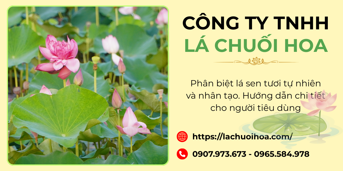 Giới thiệu về lá sen và vai trò của chúng trong đời sống hàng ngày