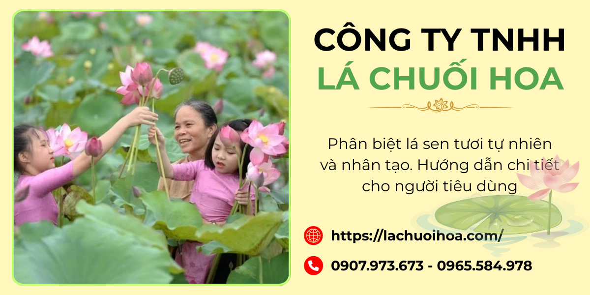 Kiểm tra độ bền và khả năng giữ hình dáng của lá sen