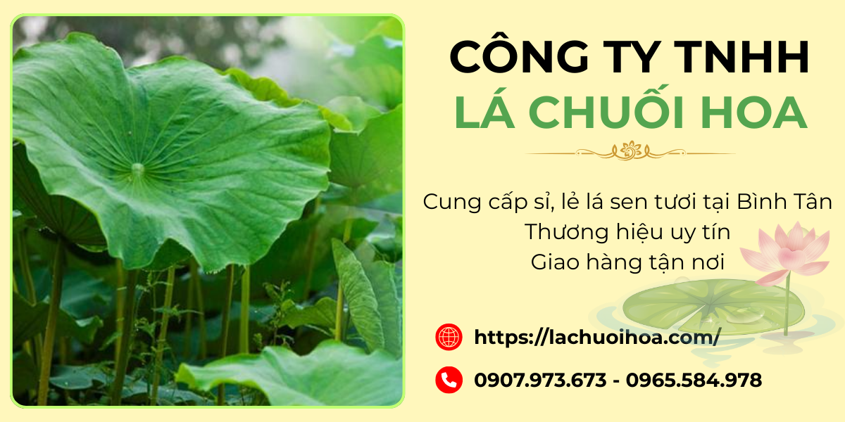 Lợi ích khi mua lá sen tươi tại Lá Chuối Hoa